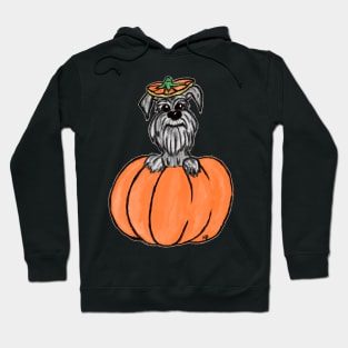 Schnauzer in a Pumpkin Hoodie